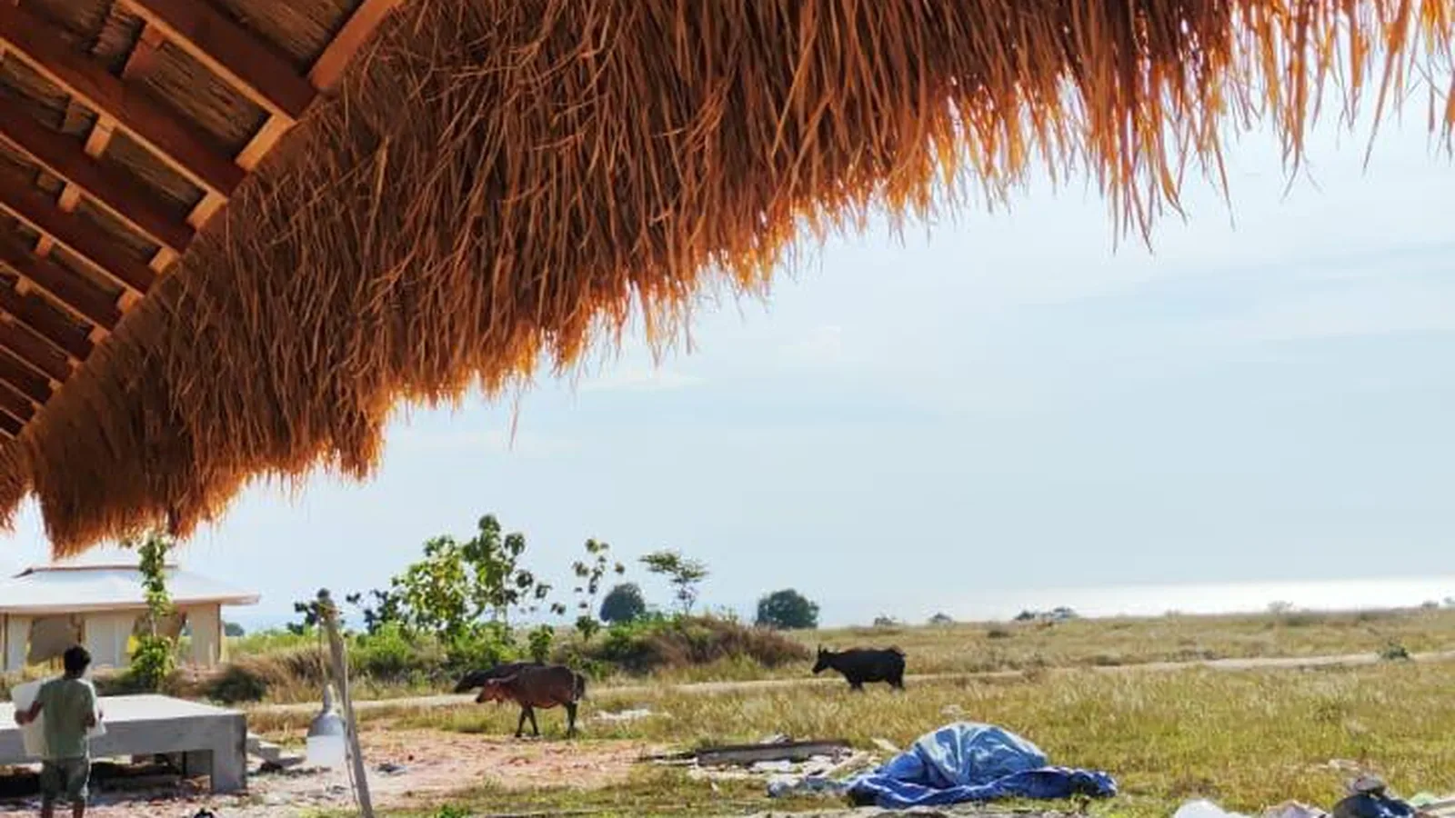 The Eight-Degree Mandate: Climate as a Balance Sheet