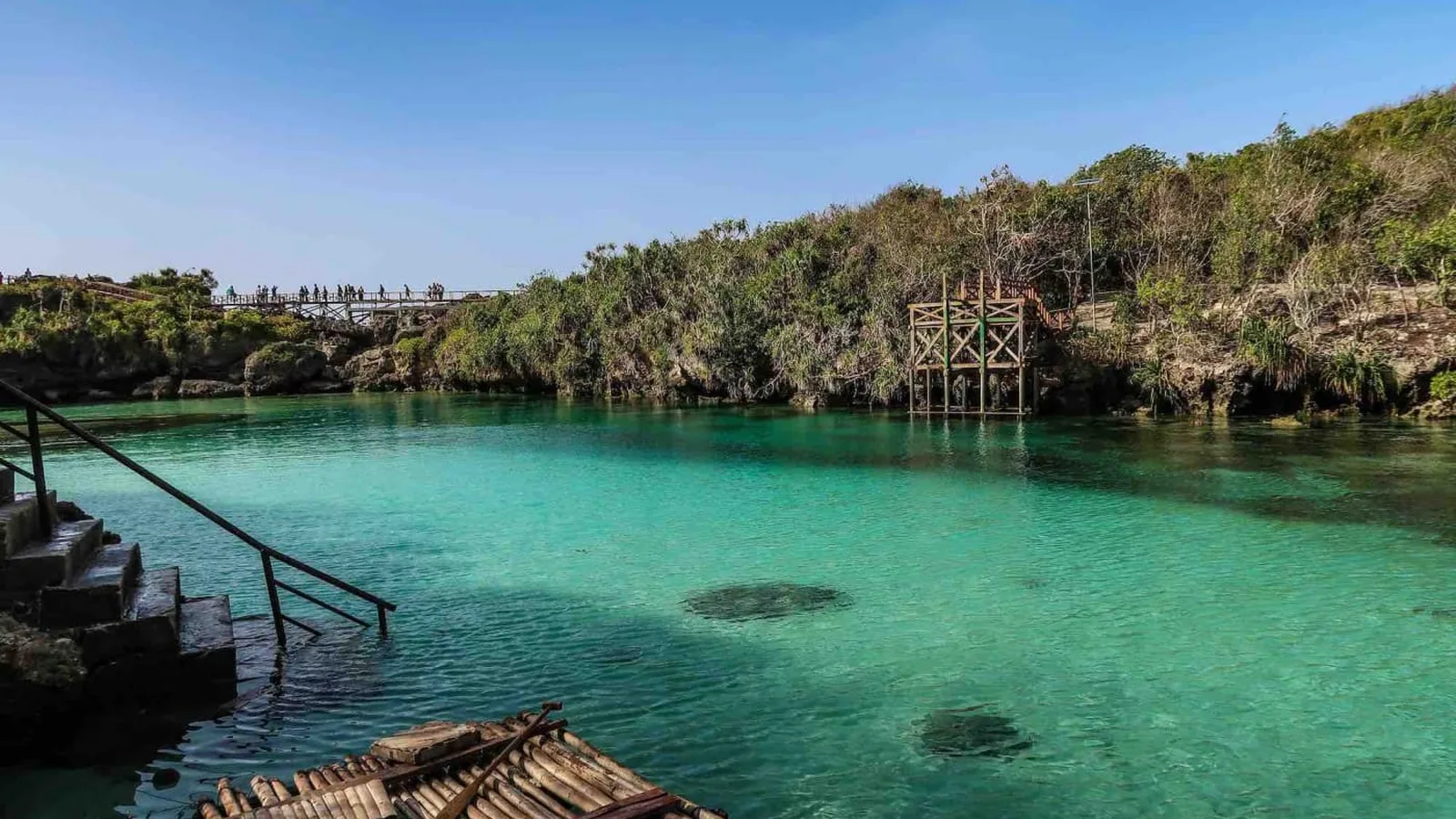 Prescription: Saltwater. An Economic Diagnosis.