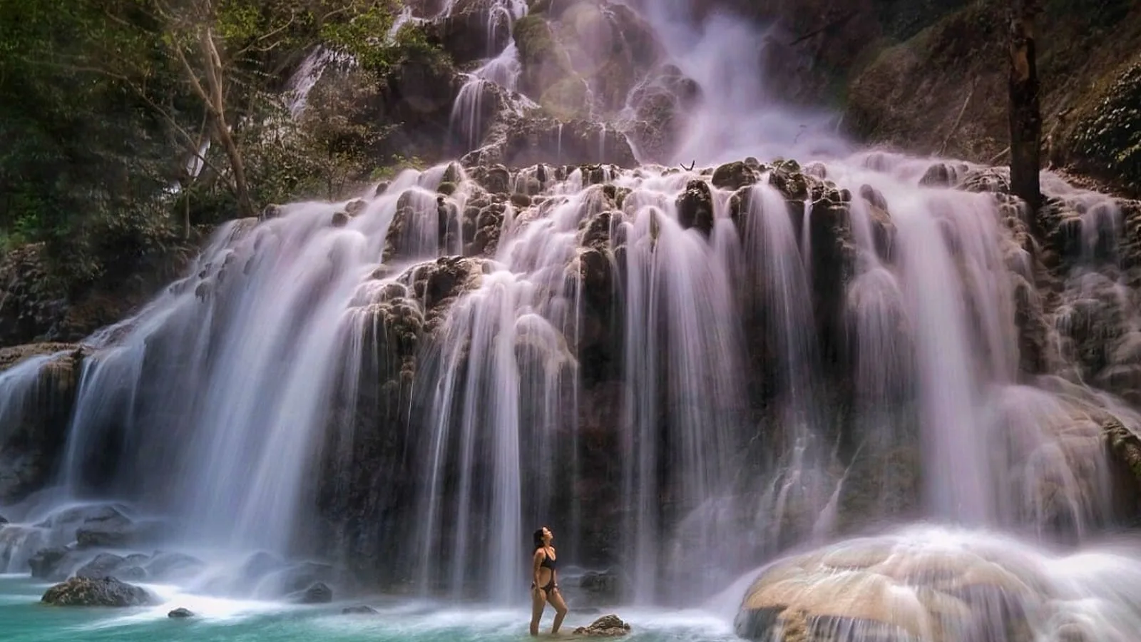 Gallop Towards the Horizon: Reclaiming the Wild in Indonesia